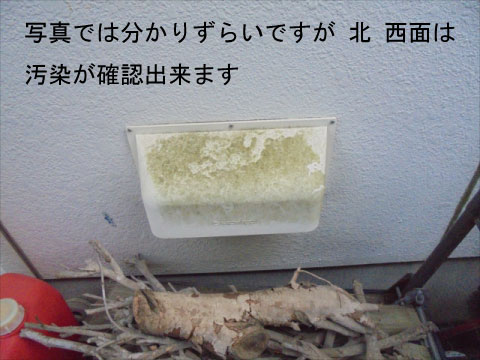 セキスイハウスの外壁汚染