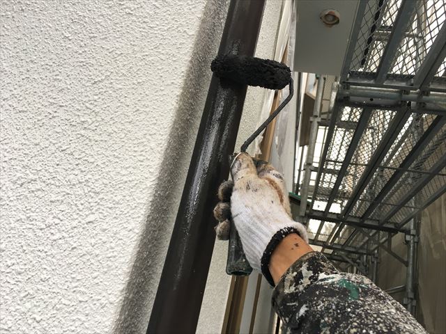 ロイヤルトップスター