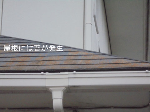 セキスイハウスのスレート屋根