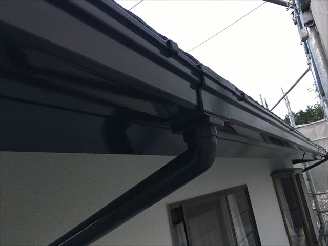 雨樋塗装、ロイヤルトップスター
