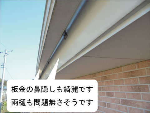 鼻隠し