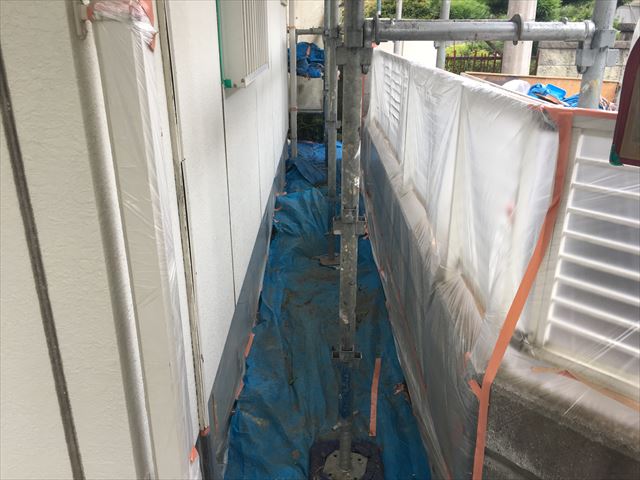 養生