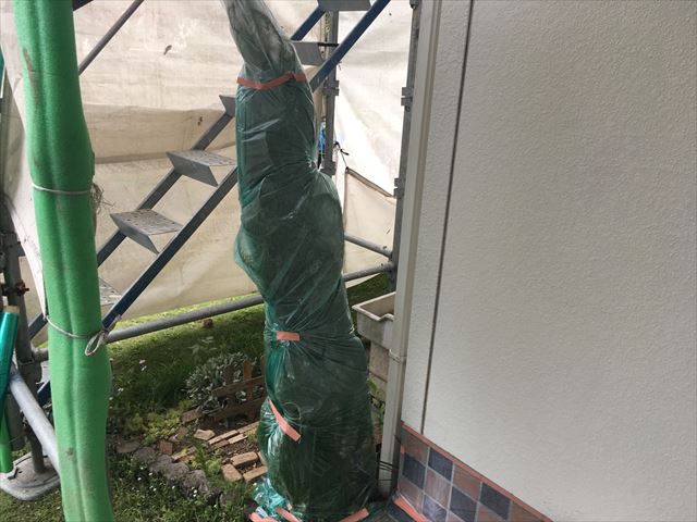 養生