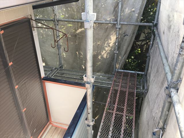 枝　伐採