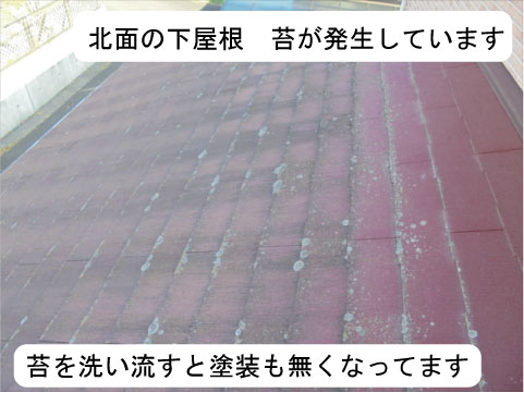 屋根塗装