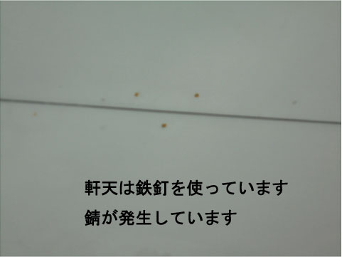 軒天