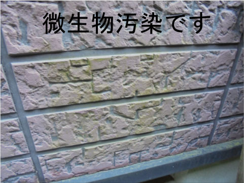 水戸市 外壁塗装 見積
