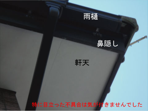 水戸市 鼻隠し 塗装