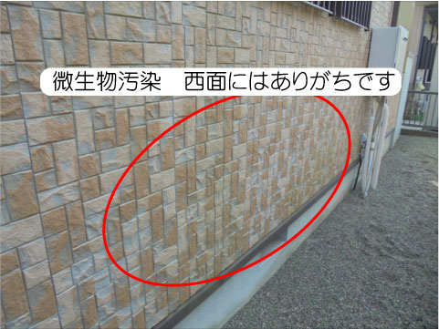 汚染状況