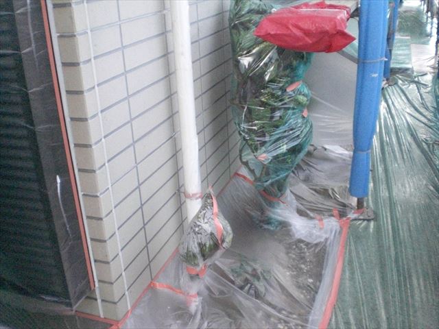 K邸植木養生
