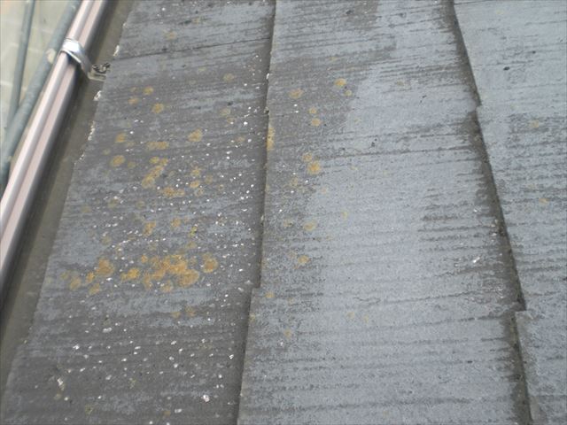 高圧洗浄前屋根M邸