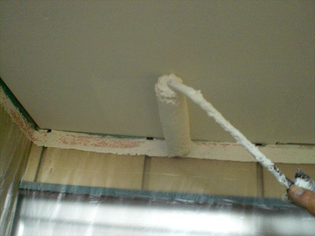 水性ビニデラックス