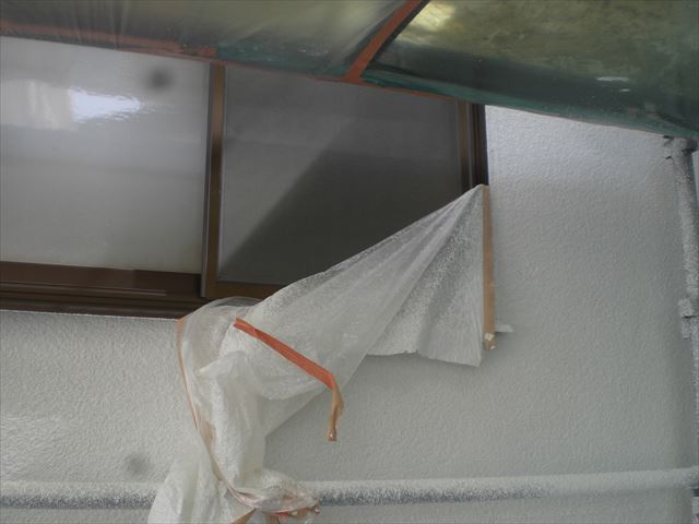 養生剥がし
