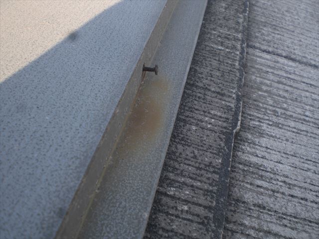 棟板金釘頭打ち直し