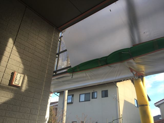 養生
