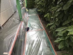 花壇、通路部分のビニール養生