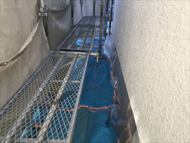 養生