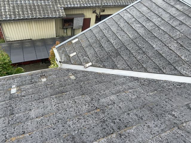 水戸市台風被害現調
