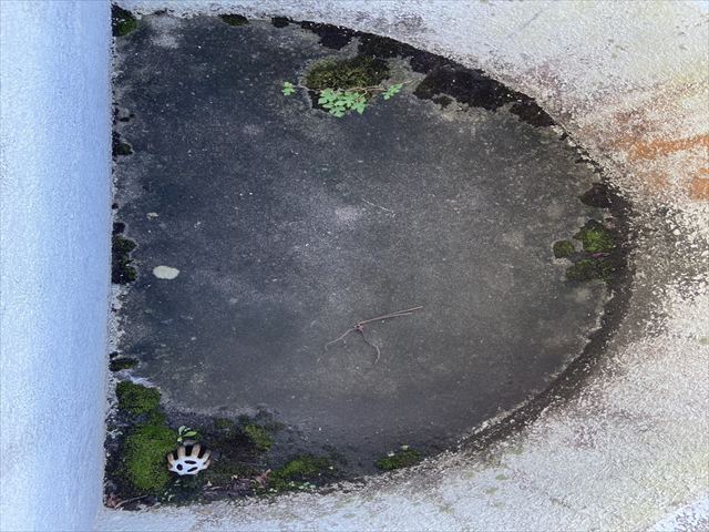 排水後の床面全景