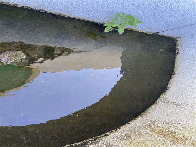 東海村で雨漏りによりエレベーター停止、6階外装のベランダ状空間に溜水と窓下の崩れを確認した応急対応