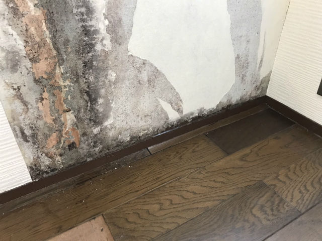 外壁雨漏り床剝がれ