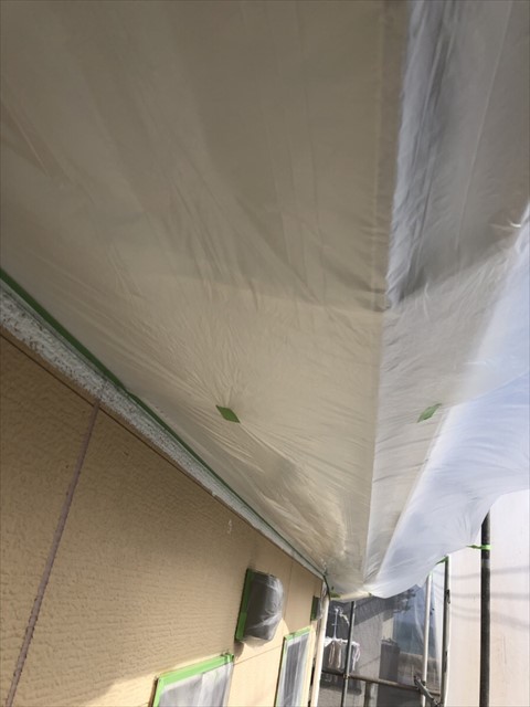 養生 軒天