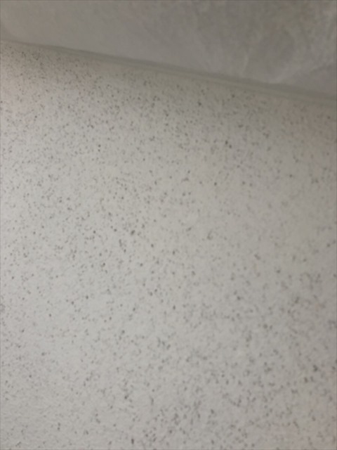 愛媛県今治市で外壁塗装下塗りをしました。