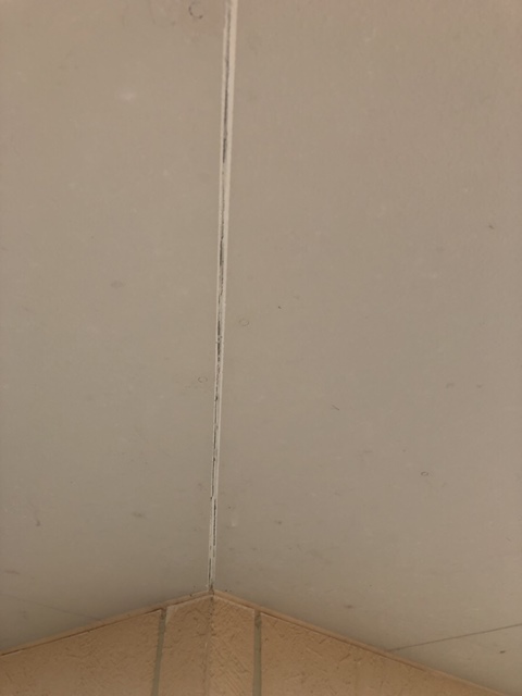 軒天補修 今治