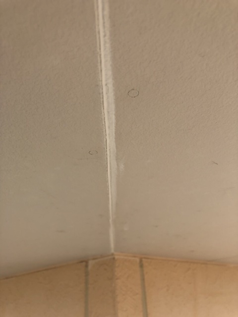 軒天補修 今治