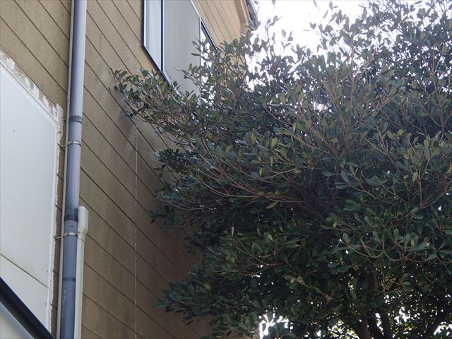 砥部町足場