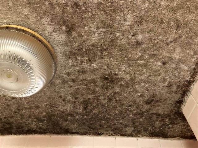 カビ多い天井