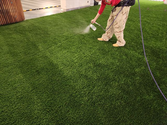 人工芝に抗菌塗布中