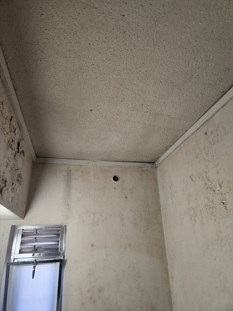 浴室天井と壁の状態