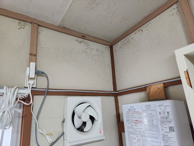 台所壁の汚れとカビの発生