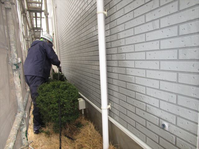 植え込み部分の洗浄