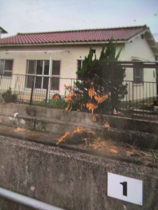 塗装の終了