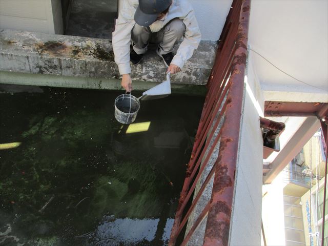 雨水除去