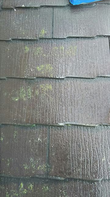岐阜市で屋根と外壁の塗替え前の高圧洗浄を行いました