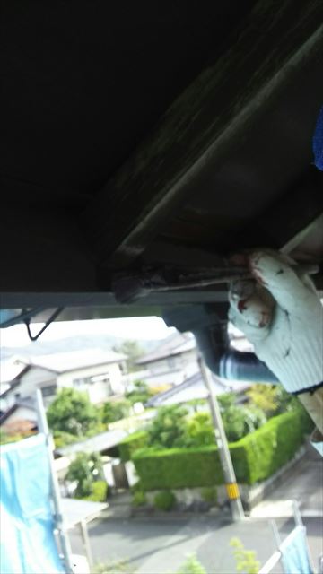 岐阜市中塗り塗装
