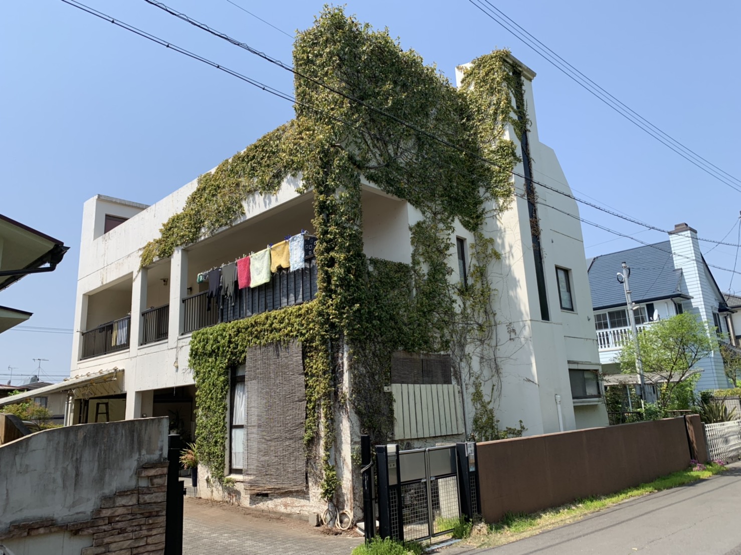 大分市宮河内の住宅で塗装前のツタ撤去・クラック処理Vカット作業を行いました。　