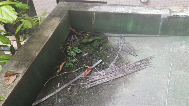 ドレン詰まり雨漏り