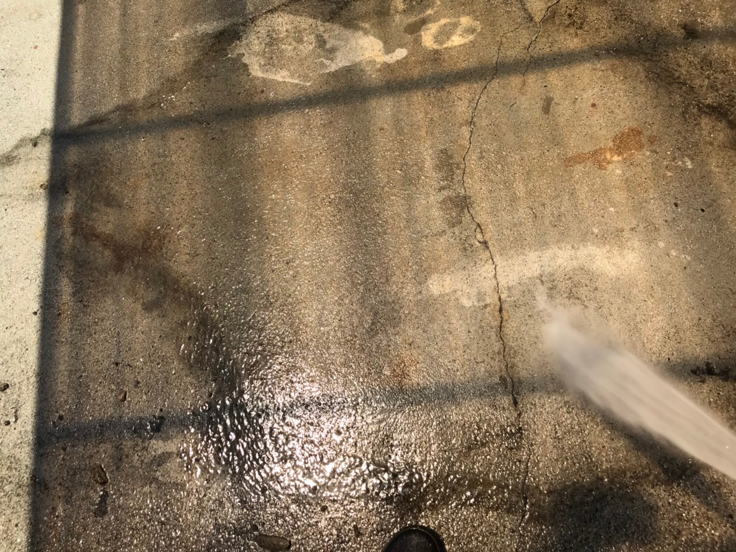 瑞浪市 バイオ洗浄