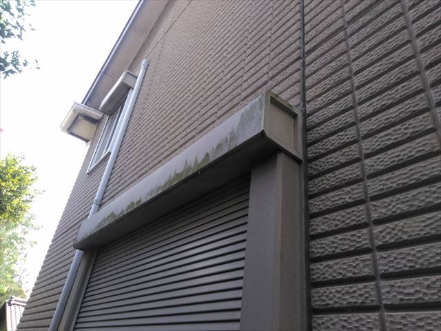 シャッターボックスにカビ