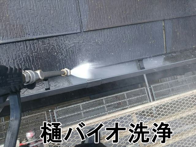 樋のバイオ洗浄