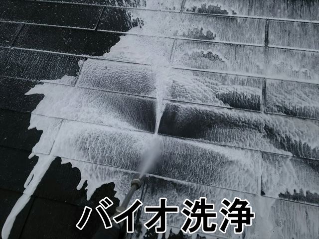屋根のバイオ洗浄