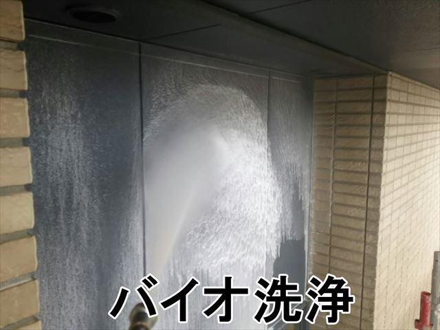 バイオ洗浄