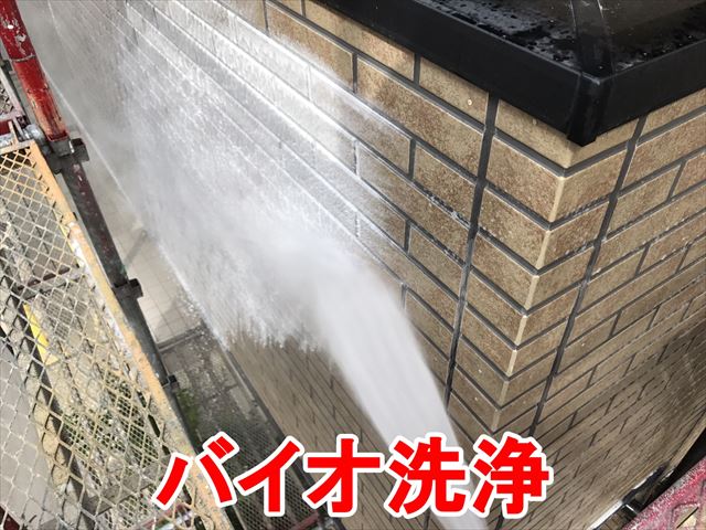 バイオ洗浄
