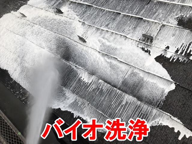 バイオ洗浄
