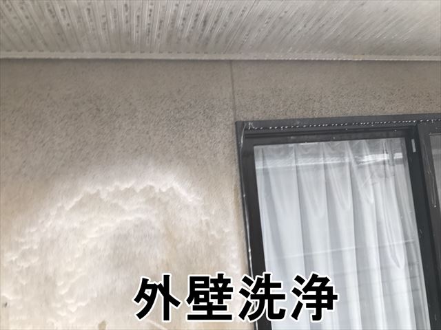 外壁洗浄