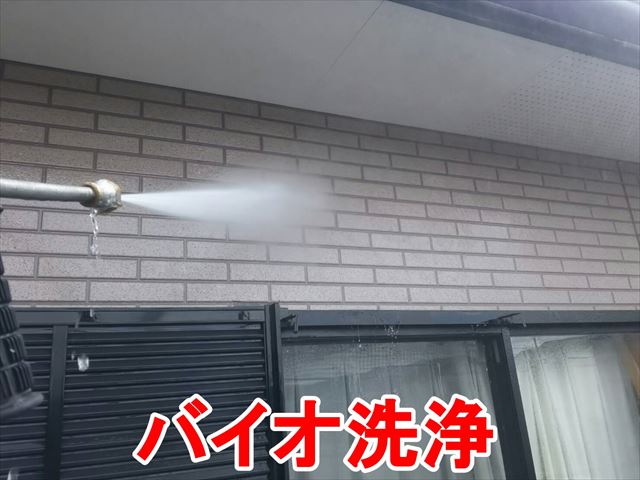 バイオ洗浄